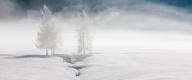 pfitsch-winter-web-97-31