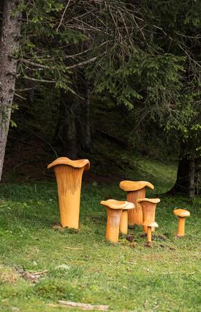 sterzing-fruehling-lowres-168